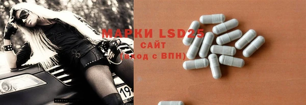 ПСИЛОЦИБИНОВЫЕ ГРИБЫ Вязники
